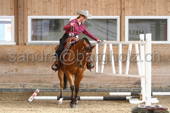 26-ApHC GT_056.jpg